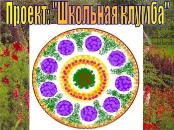 Проект «школьная клумба» 